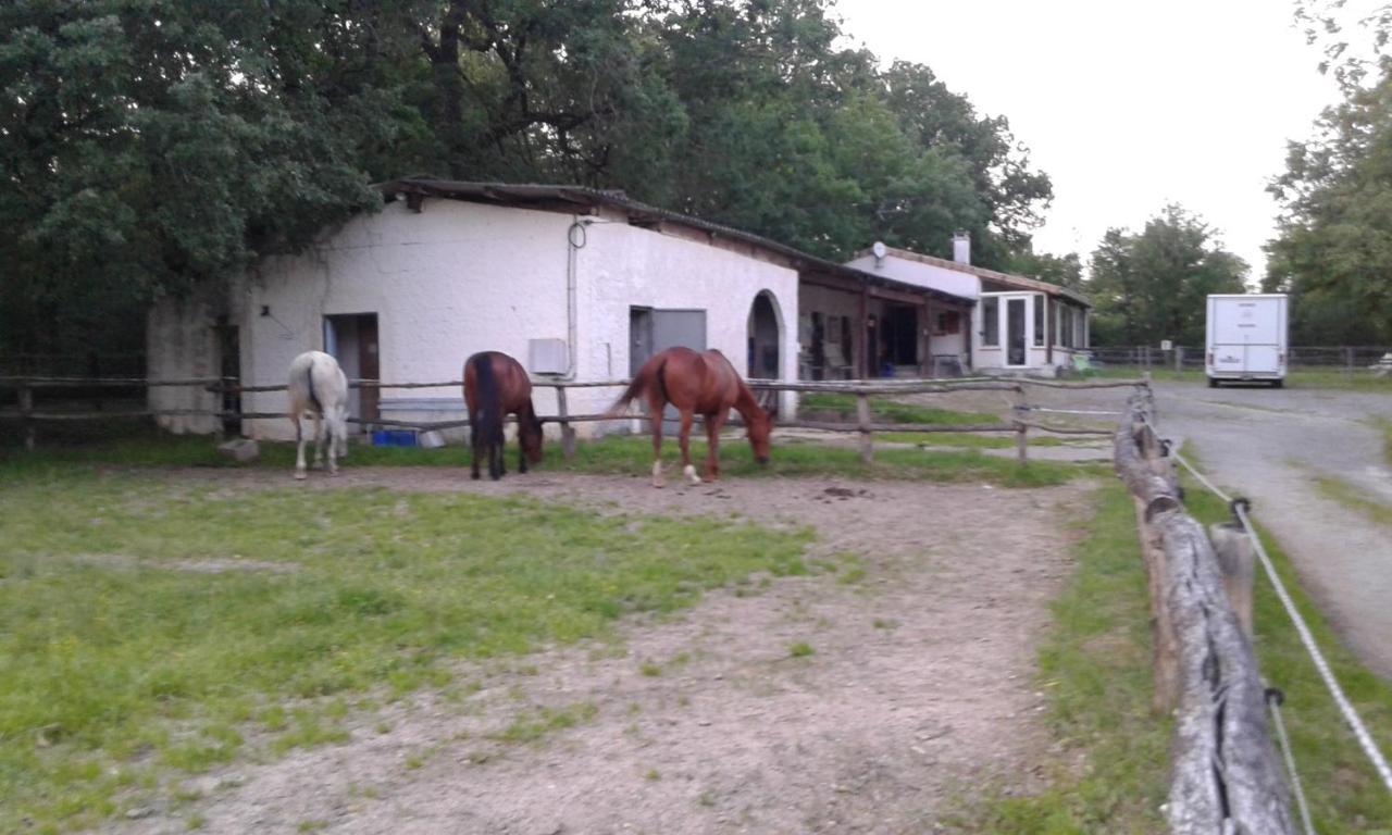 Vila Ferme Equestre Des Abrons Pailloles Exteriér fotografie