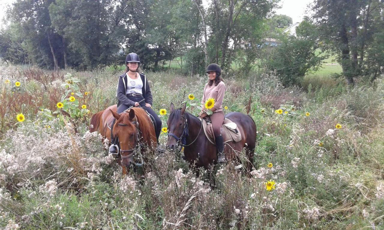 Vila Ferme Equestre Des Abrons Pailloles Exteriér fotografie
