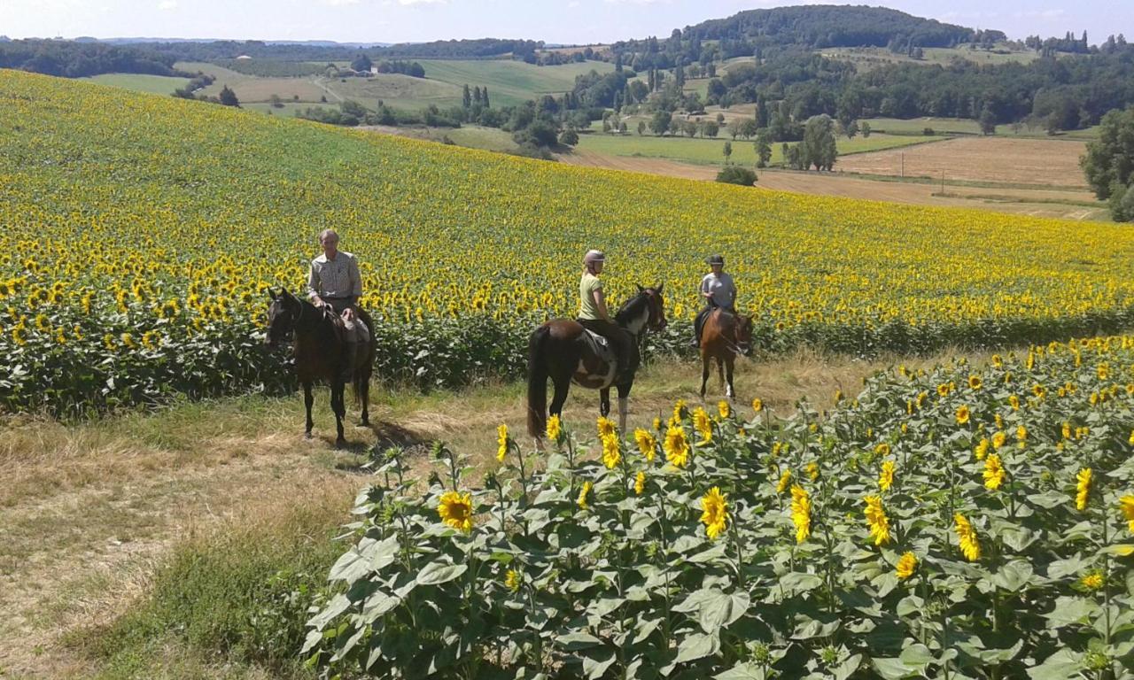 Vila Ferme Equestre Des Abrons Pailloles Exteriér fotografie